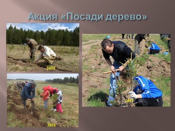 Слайд1